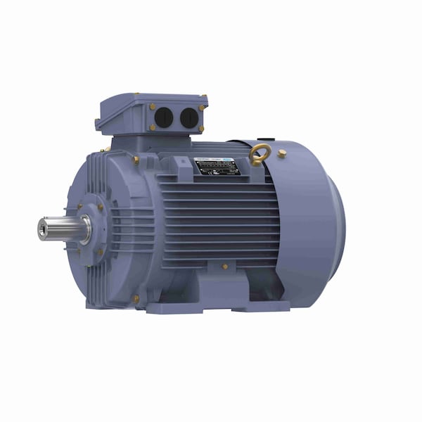 30.0 Kw General Purpose Low Voltage Iec Motor, 3 Phase, 3600 Rpm, R445